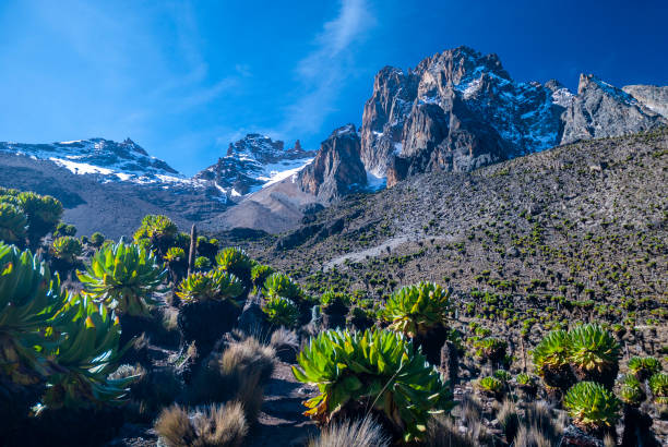 Mount Kenya National Park